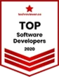 Techviewer.co Top Software Developers